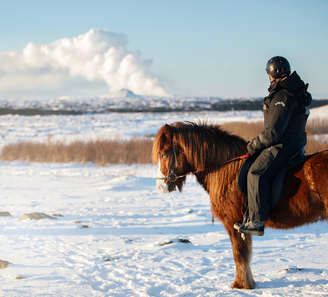 Hafnarfjörður: Horseback Riding Tour in Reykjavik Area vx0uhrXo