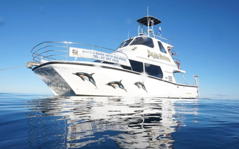 Tauranga Dolphin and Marine Wildlife Cruise Experience WaD64sVA