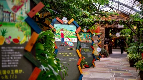 Okinawa FunPASS Churaumi Series: Churaumi Aquarium Admission Ticket, Free Choice of Attraction Experiences, Transportation and Shopping Discounts P2wxzx2B