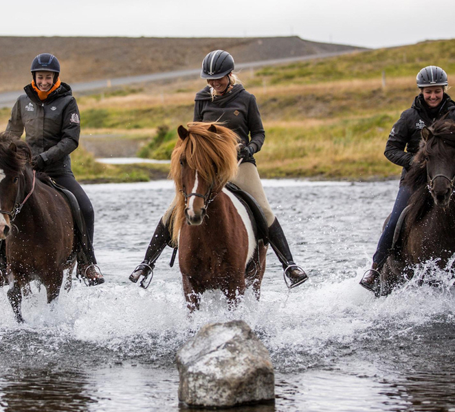 Varmahlid: Viking Horse Riding Tour AOD2I43N