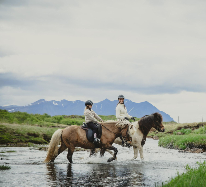 PRIVATE TRAIL RIDE: Horseback Riding Tour with Prep Lesson haBEYz3H