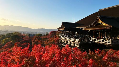 1-day tour of Kyoto's ancient temples, Yasaka Shrine, Nara Park, and Fushimi Inari Taisha in Japan Day Tours 40SgqKT5