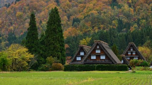 [Nohi Bus] Takayama to Shirakawa-go Round-trip Express Bus Ticket Transport Passes OpWKHNhA