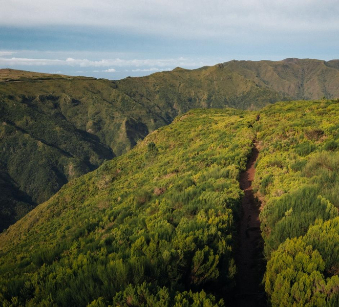 Funchal: PR13 Vereda do Fanal Hiking with Transfers UmW6BPi6