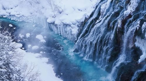 1-day tour to Biei and Asahikawa in Hokkaido|9-person group/bus tour|May include zoo admission ticket Day Tours 4I5CUC3x