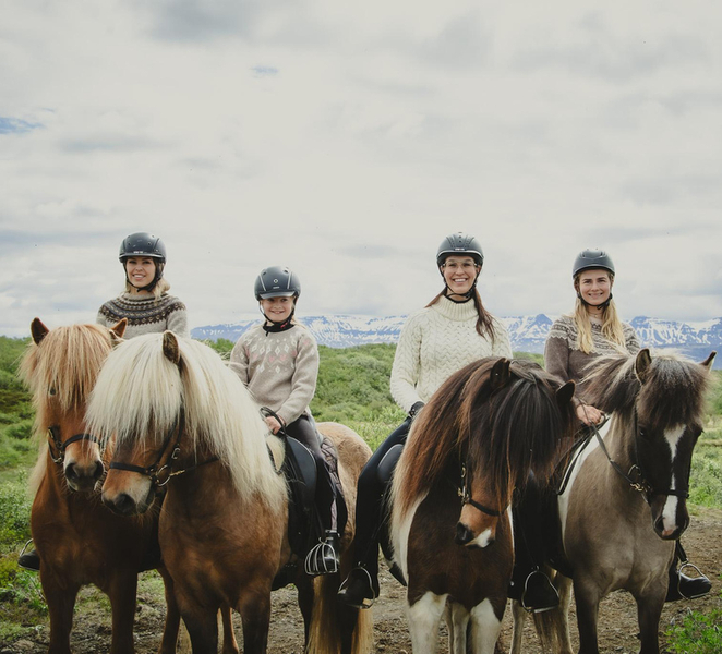 TRAIL RIDE: Horseback Riding Tour with Prep Lesson KdhDD1eG