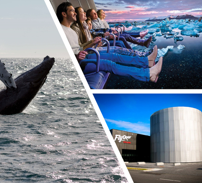 Reykjavík: Whale Watching Cruise and FlyOver Combo Ticket wmDYdlzi