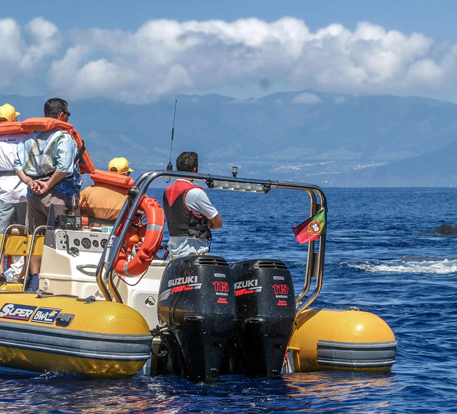 Azores Whale Watching & Islet Boat Tour w/ Marine Biologist X43SOHOX