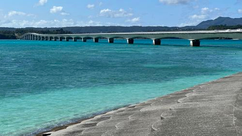 1-Day Tour in Northern Okinawa with Cape Manzamo, Aquarium and Kouri Island [Optional Bilingual Guide, Optional Admission Ticket] Day Tours e3r1OH7B