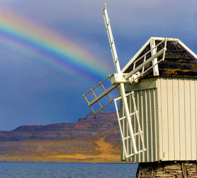 Vigur Island Tour with return boat transfers from Ísafjörður UQVwfCNn