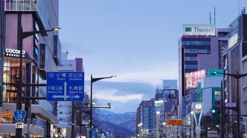 Japan Hokkaido Sapporo Hakodate Yunokawa Onsen Daytime/Nighttime Express Bus E-ticket Transport Passes qwU1LMlt