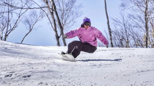 1-day tour to Biwako Hakodateyama Ski Resort from Osaka LDv9IU7f