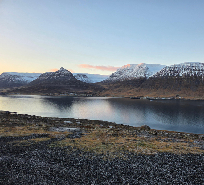 Ísafjörður: Seal Colony, Avalanche Town & Fjord Views Tour ZueFMGHk