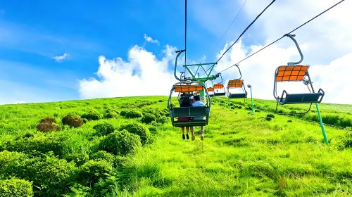 Japan Tokyo Izu 1-day tour: Mt. Omuro + zoo + scenic train experience + Jogasaki Coast Day Tours QtzizWB9
