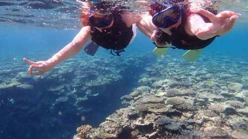 3-Hour Diving and Snorkeling Experience at Ishigaki Blue Cave in Japan [ADVENTURE PiPi Ishigaki Island] [Half-Day] Blue Cave Snorkeling Adventure, Chance to Encounter Sea Turtles BgQWijQu