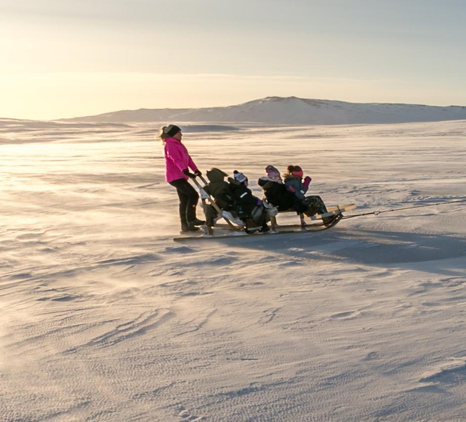 Winter Dog Sledding next to Reykjavik 2xu2IJr9