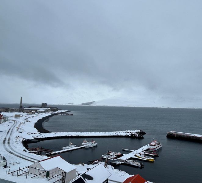 Akureyri: Whale Watching with transfer (Cruise friendly) ajRD62qs