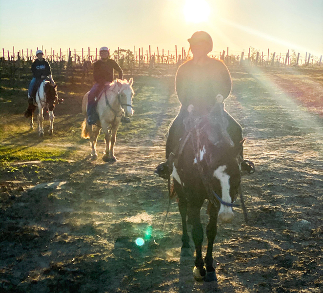 Hunter Valley: Sunset Horse Riding Tour FRLewh2W