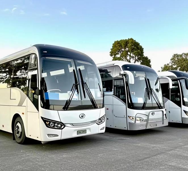Melbourne Great Ocean Road Benz Small-Group or Luxury Coach kVxe9pmp
