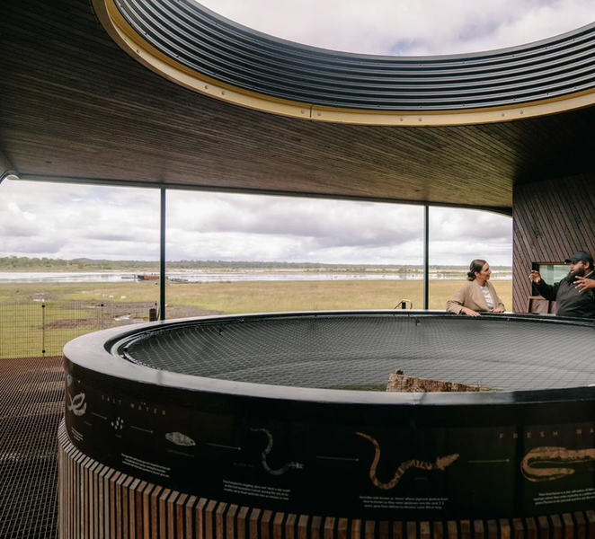Budj Bim: Tae Rak Wetlands 2 Hour Guided Cultural Tour 5yeAtt48