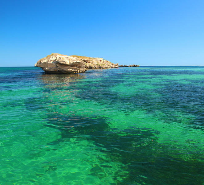 Rockingham: 3 Island Wildlife Snorkeling Cruise with Lunch 3sxqYCiP