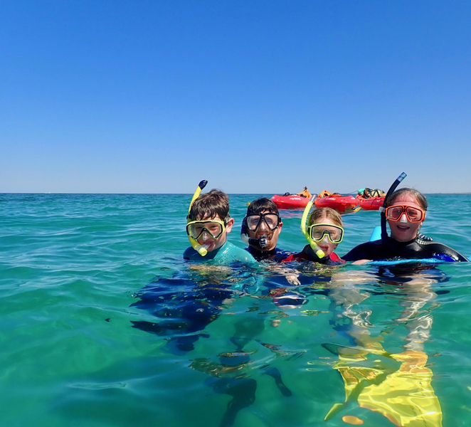 Exmouth: Half Day Turtle Kayak & Snorkel Tour 4sWe9AhH