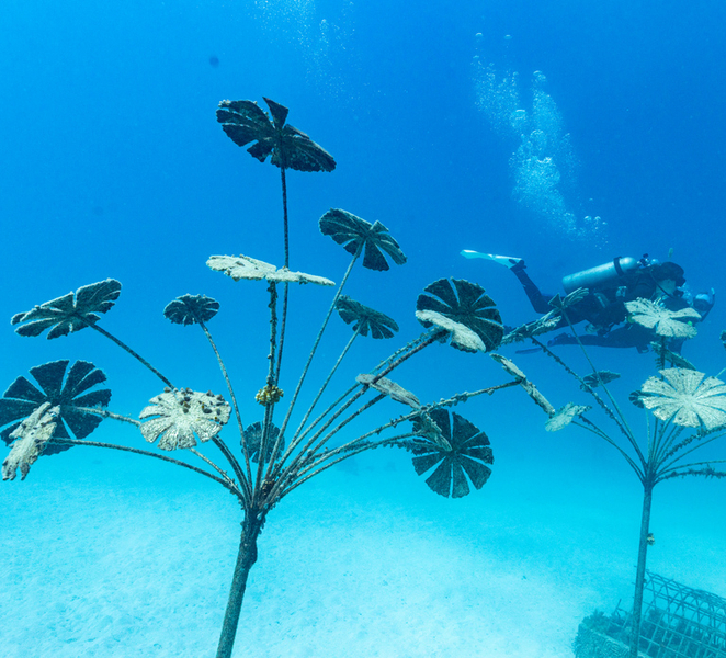 Townsville & Magnetic Island: MOUA & Reef Snorkel Experience rjS5pRjC