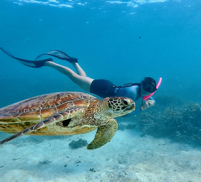 Agnes/1770: Southern Great Barrier Reef Snorkelling Day Trip PG174Nyf