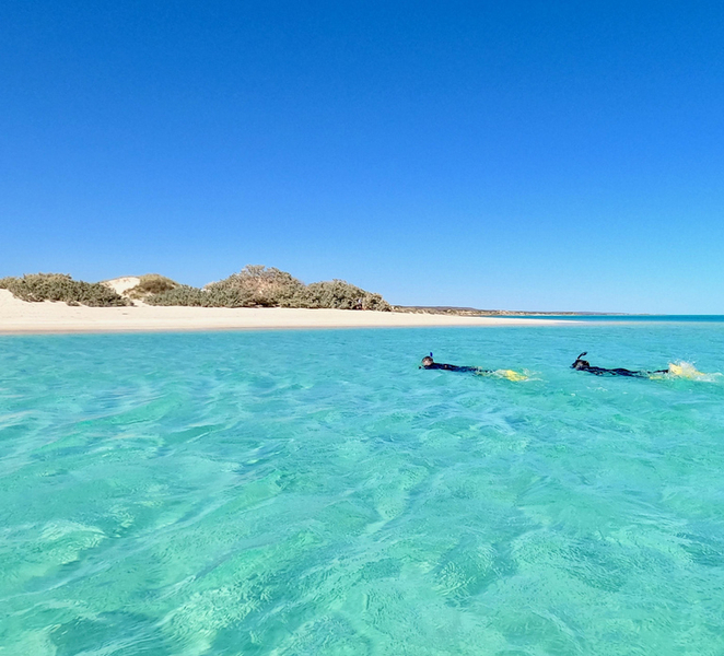 Exmouth: Guided Ningaloo Reef Snorkel Adventure 76cnVuiN