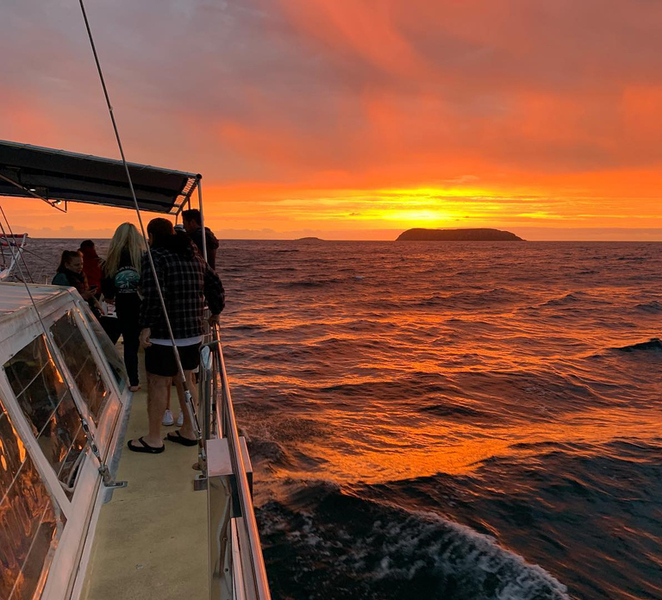 Nelson Bay: Whale and Dolphin Watching Catamaran Cruise R2dSQQlp