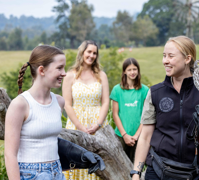Brisbane: Lone Pine Koala Sanctuary Day Pass FkbML8I1