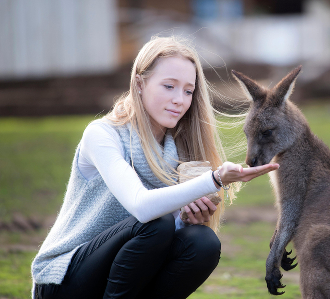 Hobart: Admission Ticket to Bonorong Wildlife Sanctuary IEDyhm5E