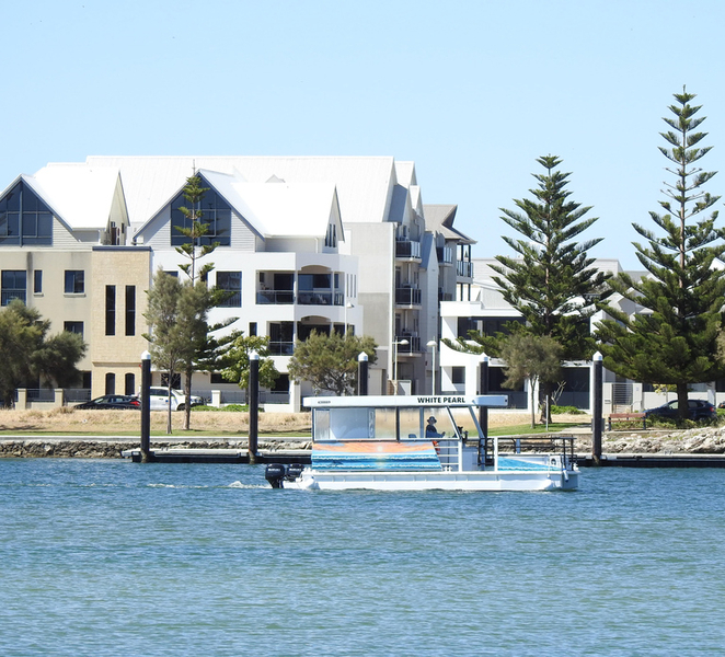 Mandurah: Sightseeing Dolphin Cruise with Tour Guide J25SSLnP