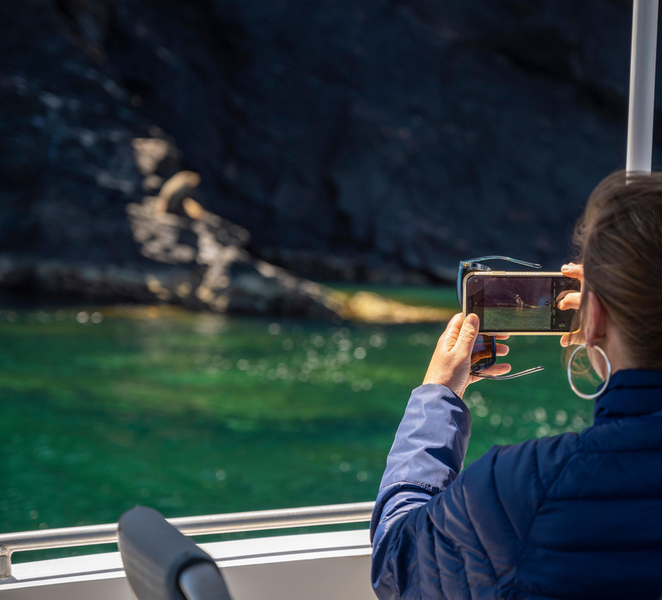 Wirrina Cove: Coastal Sightseeing Boat Tour with Seal Colony 7H839ngw
