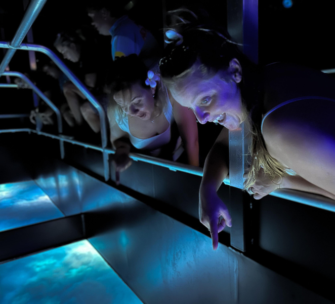 Airlie Beach: Glass-Bottom Boat Night Tour eb87ftr6