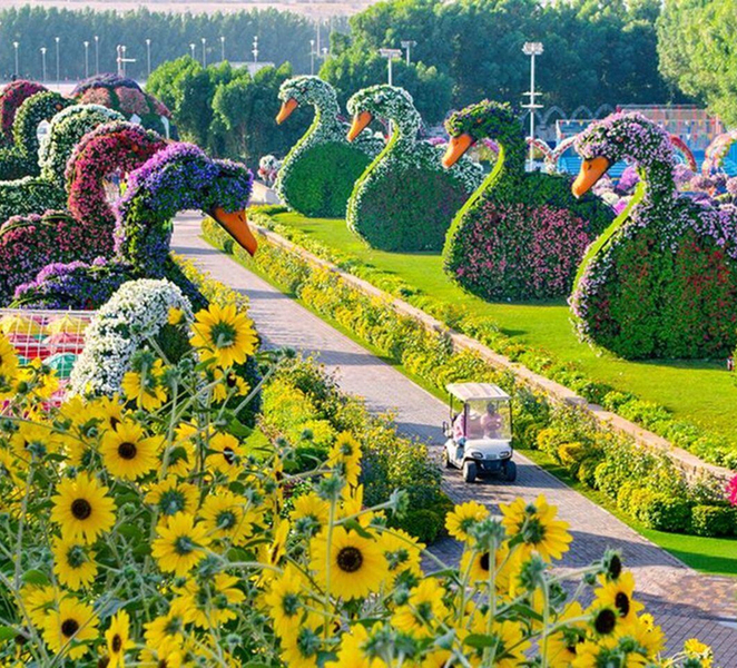 Dubai: Miracle Garden, Global Village, and Dubai Frame G42JDYTl