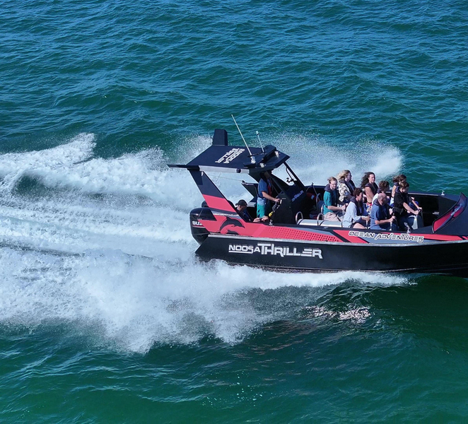 Noosa: Noosa Ocean & Dolphin Adventure ejOBMsfQ