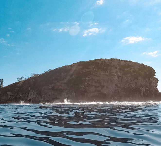 Mooloolaba: Snorkel with Turtles Mudjimba Island nK0e01qC