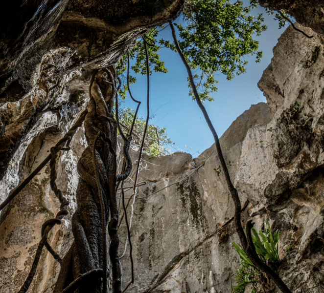 Queensland: 90 Minute Capricorn Caves Explorer Tour DW1Fw5Mf