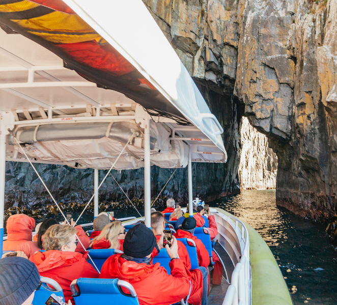 From Hobart/Adventure Bay: Bruny Island Wilderness Cruise f4sFZetk