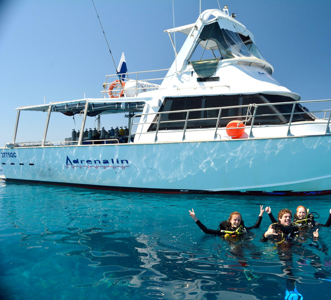Townsville & Magnetic Island: Reef Explorer Snorkel Trip 4HEUVVtt