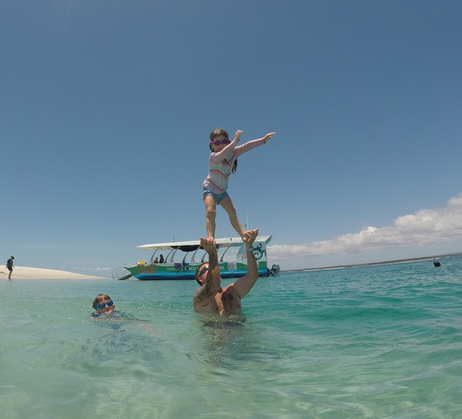 Hervey Bay: Turtle Discovery Eco Tour 4xZdKw3t