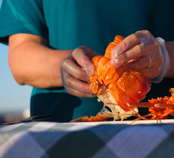 Geraldton: Behind-The-Scenes Ocean Harvest Tour qPx59lsq