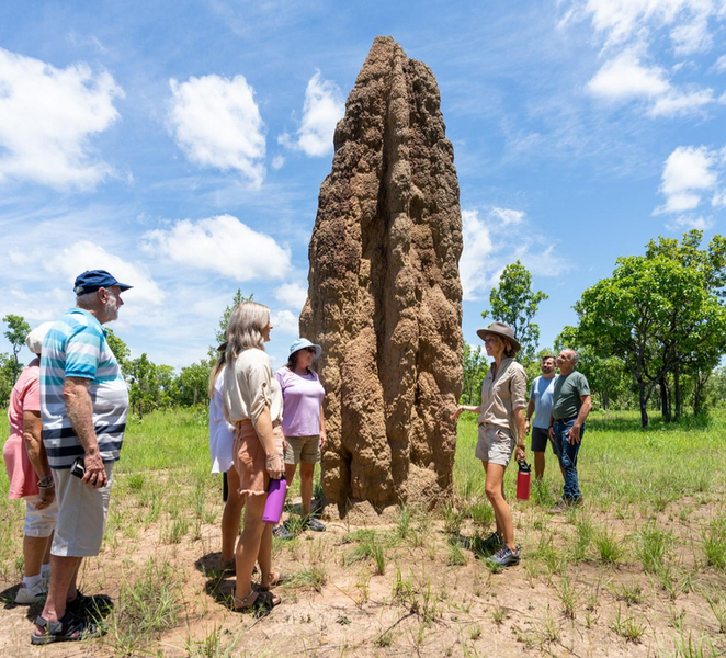 From Darwin: Litchfield National Park & Waterfalls Day Trip jzDkYM0y