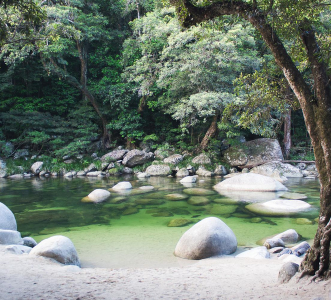 From Port Douglas: Daintree Rainforest & Mossman Gorge Tour vNW6uyQc