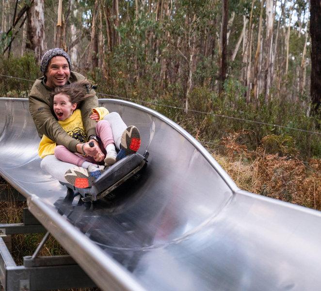 Corin Forest: Alpine Slide Ticket AJAf0bCp