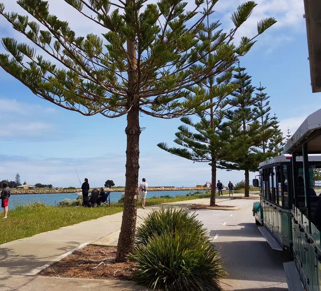 Mandurah: Big Toot 30 mins scenic tour 9v0INKJp