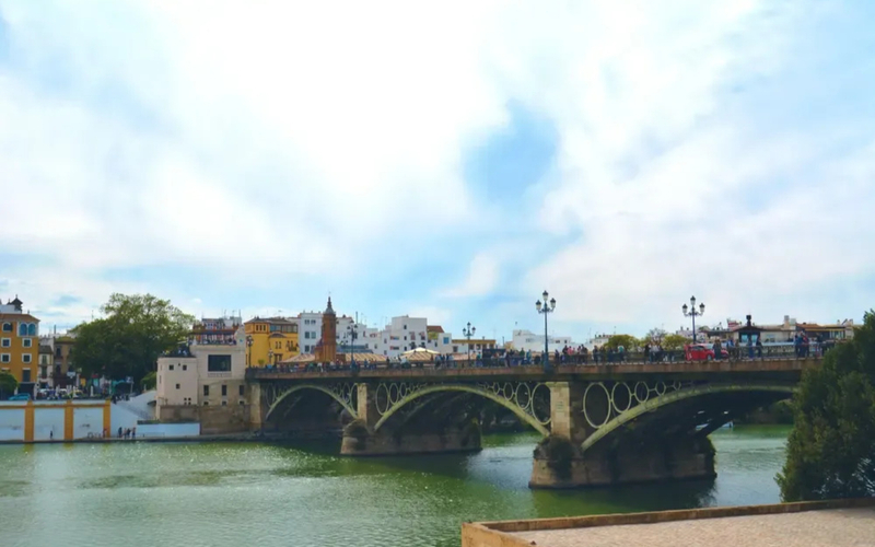 City of Seville Full-Day Guided Tour with Hotel Transfer gSDZX4xG