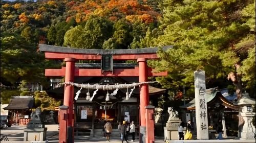 1-day tour to Lake Biwa, Shirahige Shrine and Omihachiman in Shiga, Japan Day Tours Fufp98tL