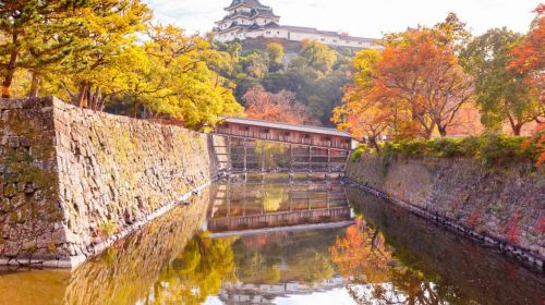 From Osaka | Wakayama Castle X Kuroshio Market X Tōdai-ji X Nara Park GWRewBXL